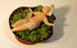 fest_029.jpg fest_029.jpg